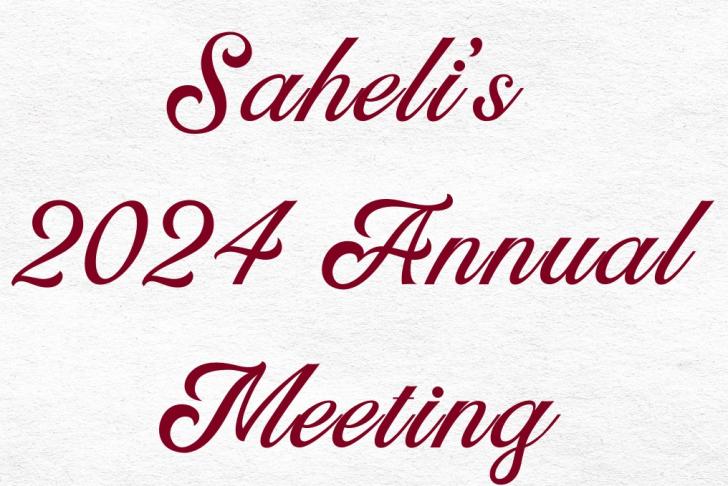 Saheli: Annual Meeting, DV Walk, Nirbhaya